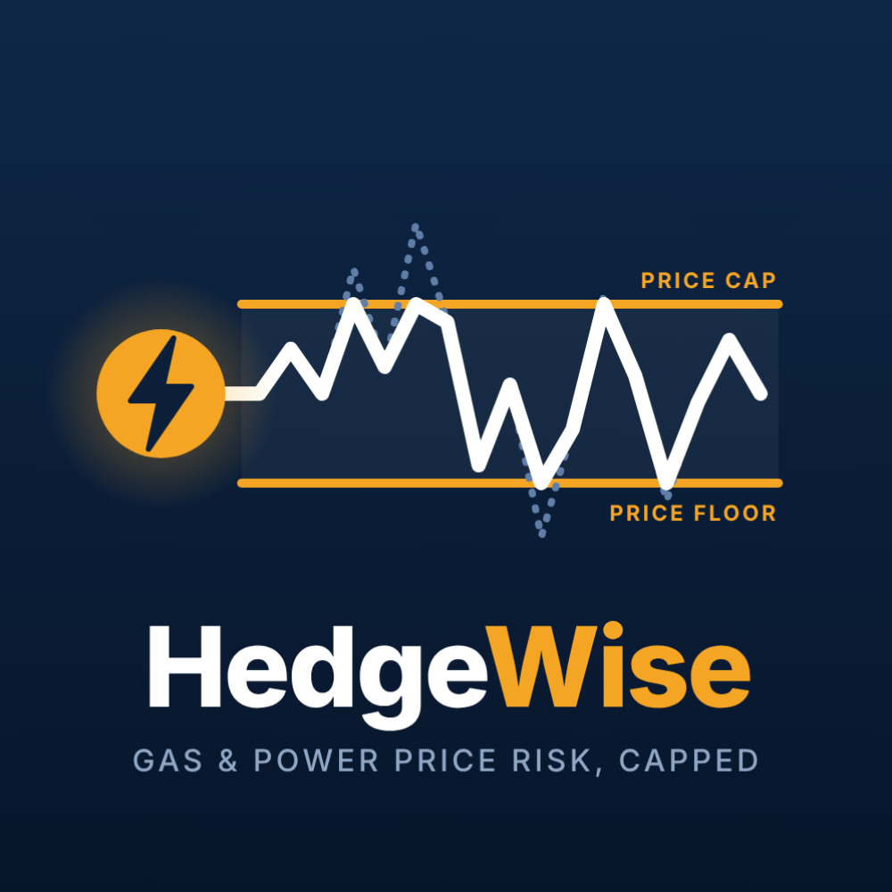HedgeWise