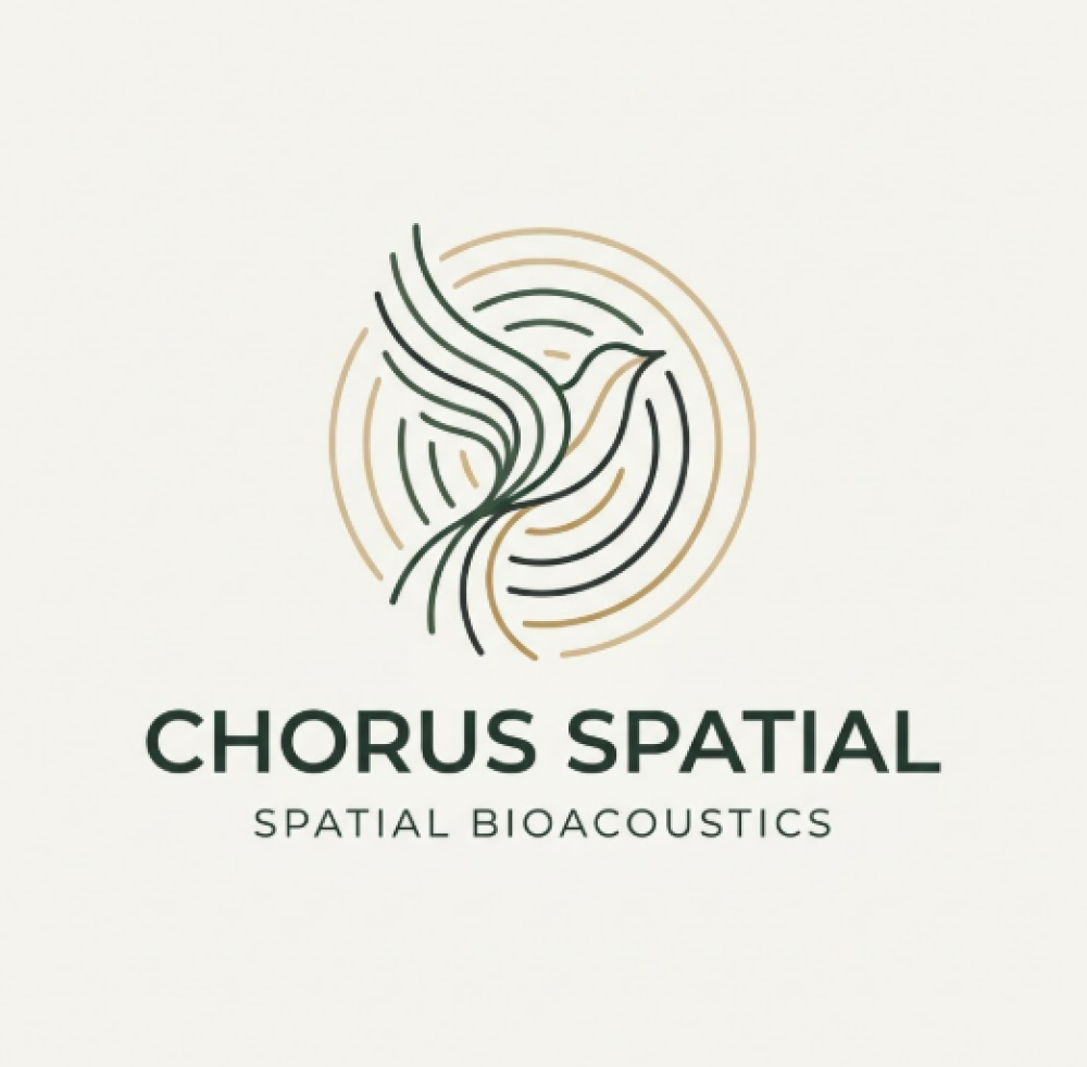 Chorus Spatial
