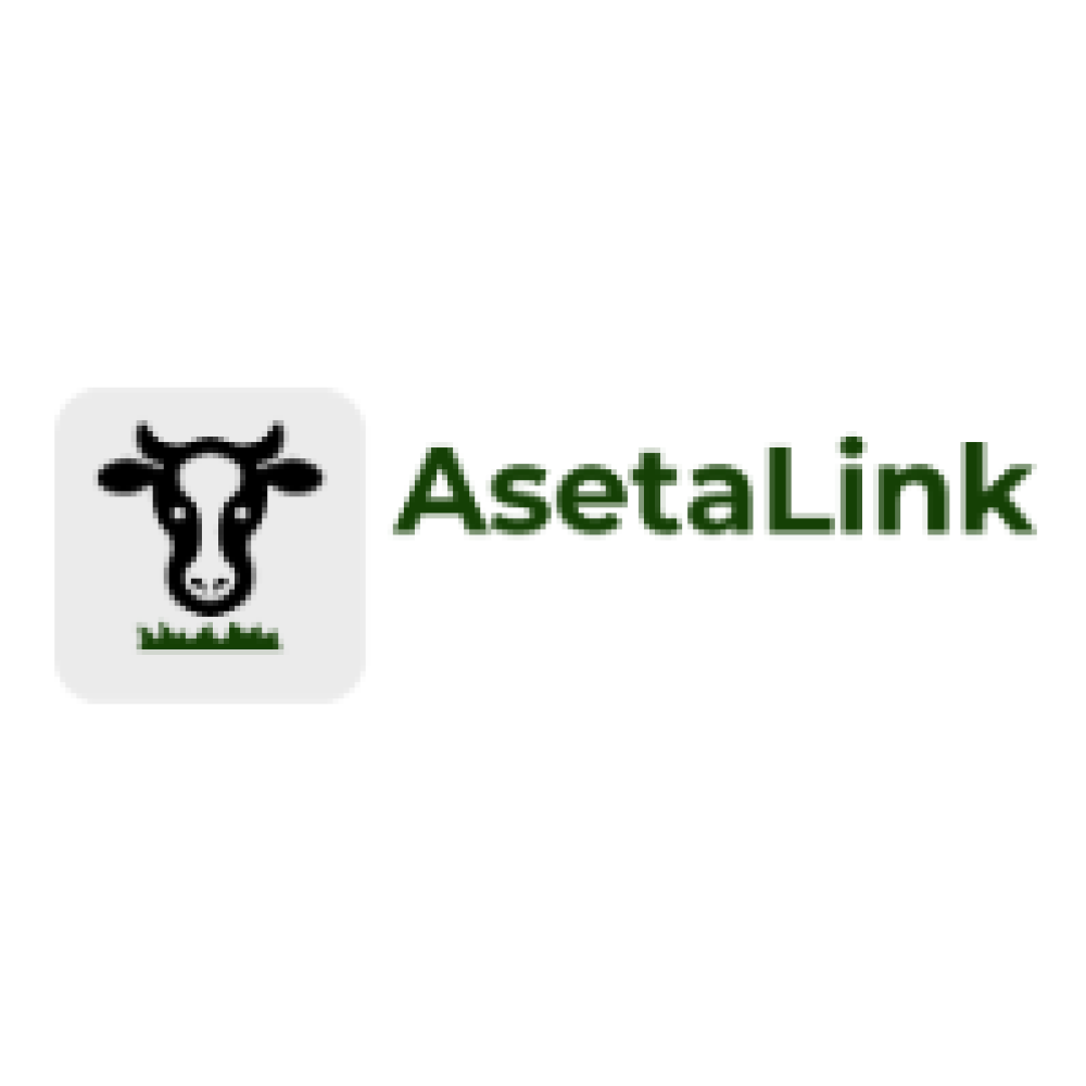 AsetaLink