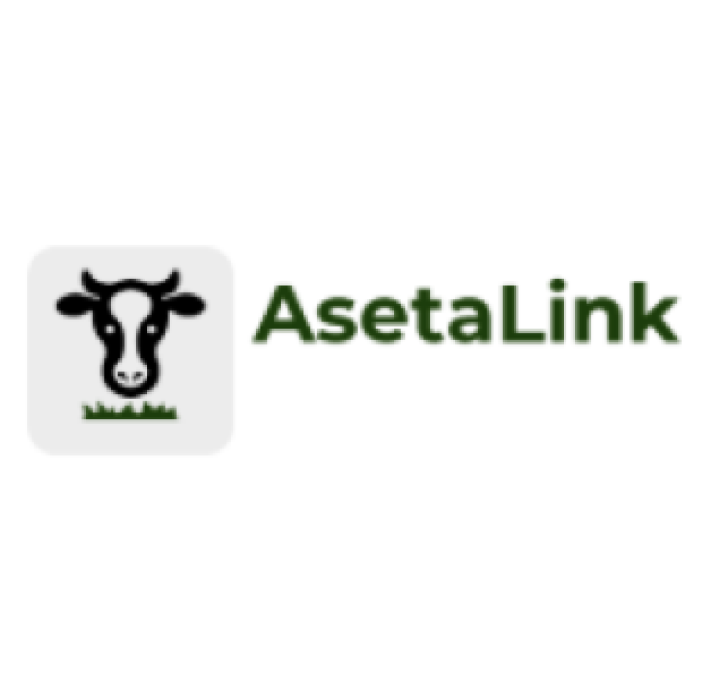 AsetaLink